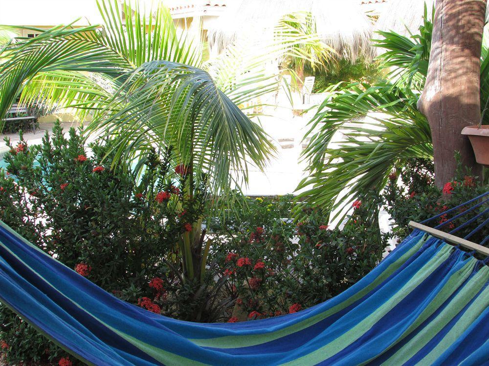 Aruba Tropic Apartments Noord Exteriér fotografie
